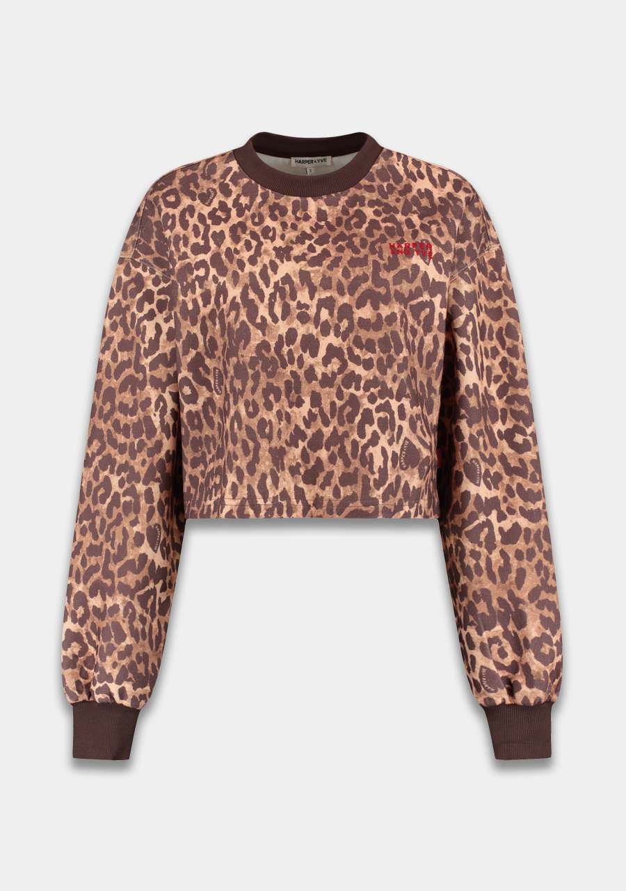 Harper & Yve Sweater Darcy DW25P512 Bruin