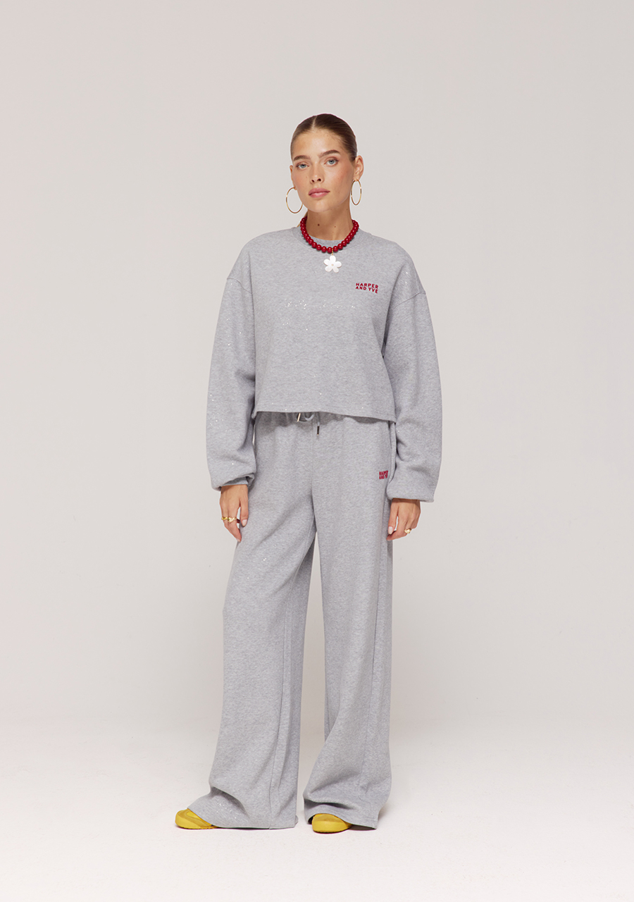 Harper & Yve Sweater Darcy AW25P500 Grijs