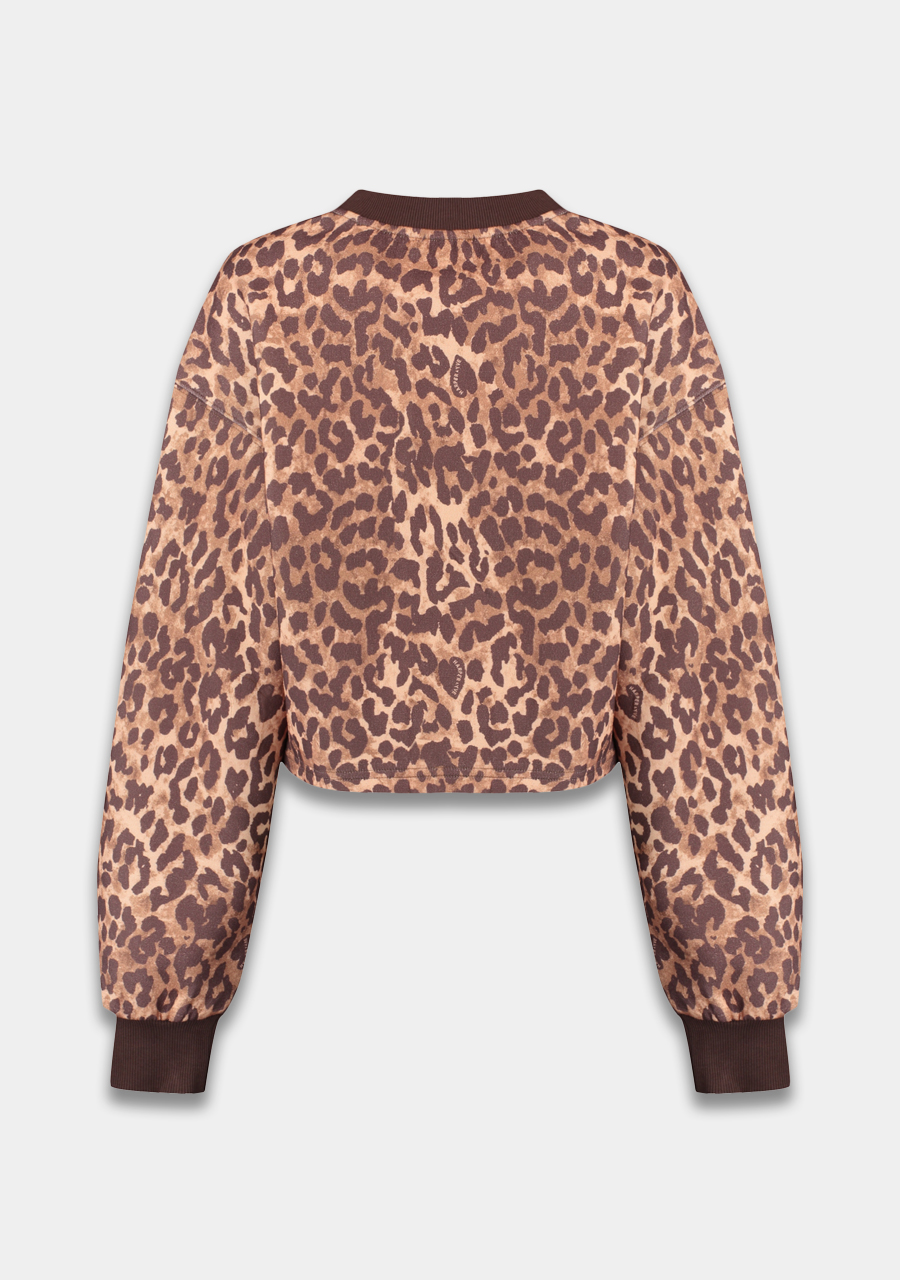 Harper & Yve Sweater Darcy DW25P512 Bruin